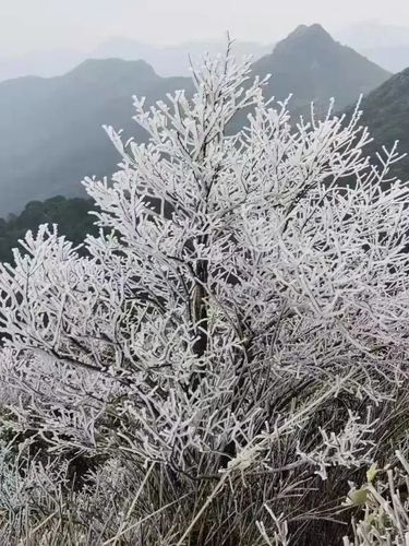 从化市天气预报,从化天气实时天气预报-第2张图片 从化市天气预报,从化天气实时天气预报-第2张图片