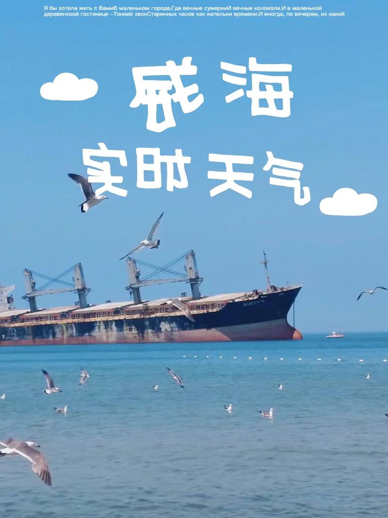 威海天气预报10天/威海天气预报一周15