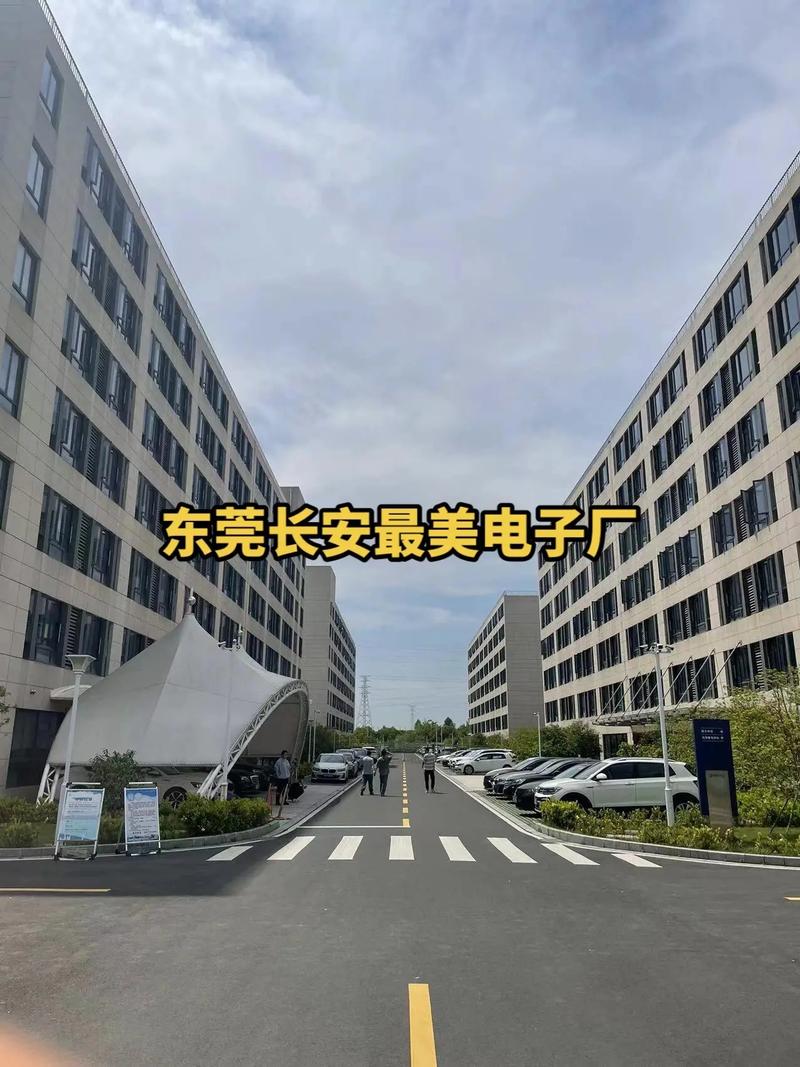 关于“长葛限号”你不知道的事