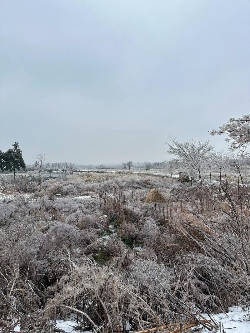 随州天气-随州天气预报最新15天-第4张图片 随州天气-随州天气预报最新15天-第4张图片