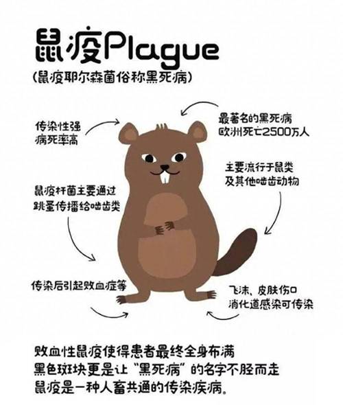重大动物疫情/重大动物疫情应急预案-第3张图片 重大动物疫情/重大动物疫情应急预案-第3张图片