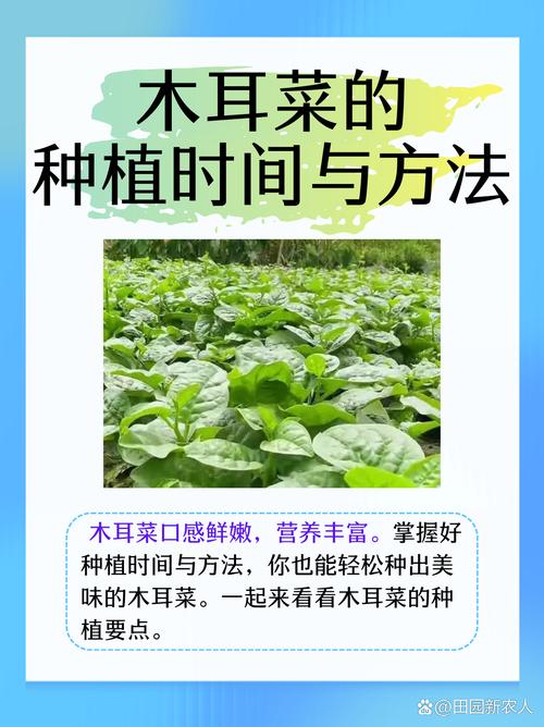 关于“辽宁朝阳天气预报”你不知道的事-第6张图片 关于“辽宁朝阳天气预报”你不知道的事-第6张图片