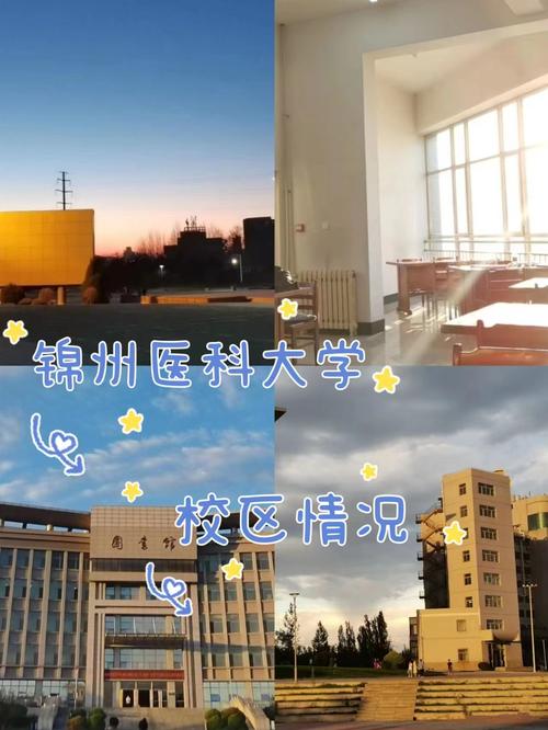 【辽宁锦州天气/辽宁锦州天气最新通报】-第7张图片 【辽宁锦州天气/辽宁锦州天气最新通报】-第7张图片