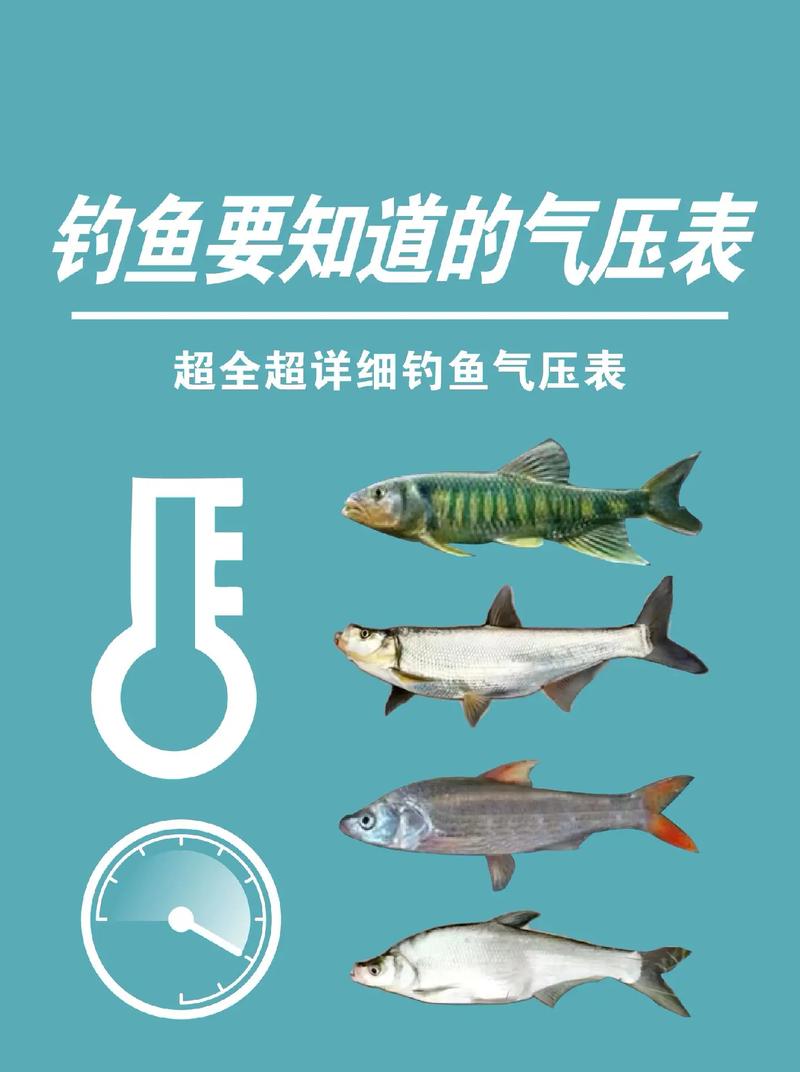 安康天气/安康天气预报今天查询
