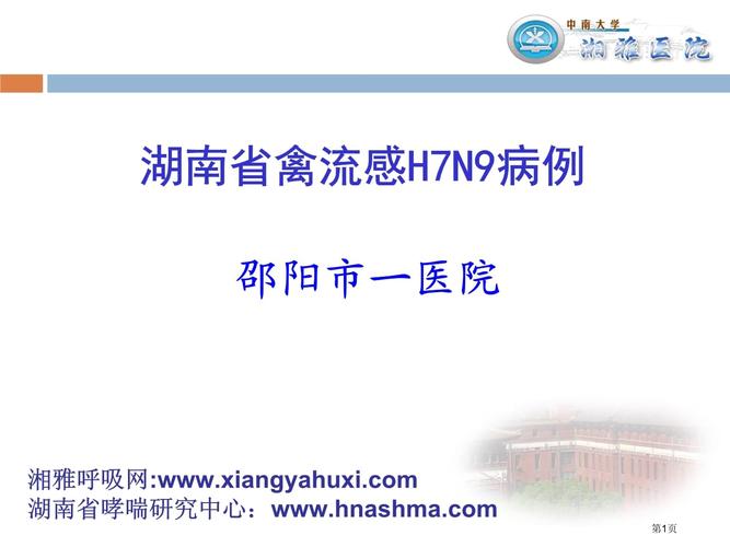 禽流感疫情/荷兰农场再度暴发禽流感疫情