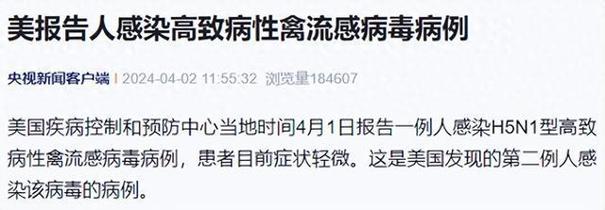 禽流感疫情/荷兰农场再度暴发禽流感疫情-第5张图片 禽流感疫情/荷兰农场再度暴发禽流感疫情-第5张图片