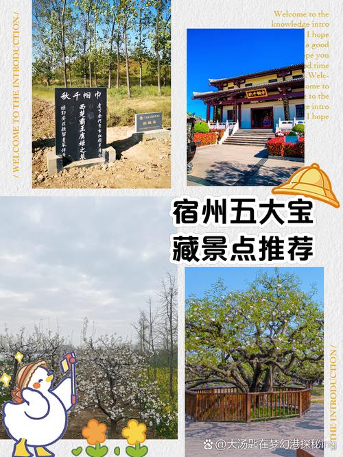 砀山县天气预报，砀山县天气预报24小时