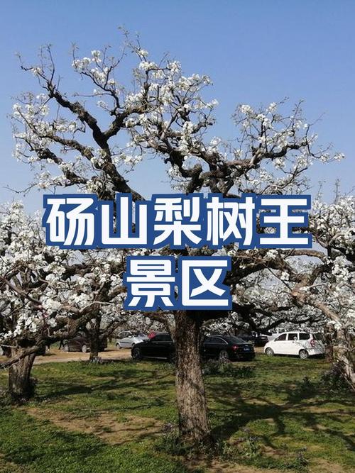 砀山县天气预报,砀山县天气预报24小时-第6张图片 砀山县天气预报,砀山县天气预报24小时-第6张图片