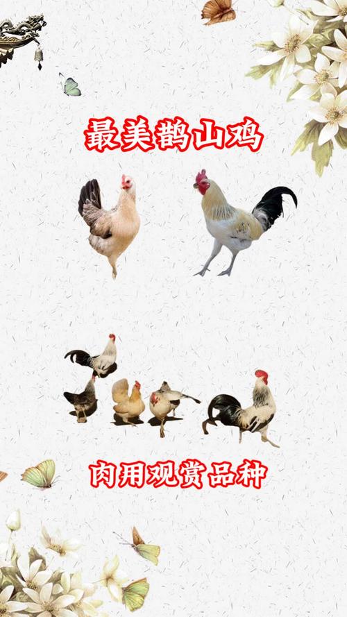 关于“湘潭县天气预报”你不知道的事-第5张图片 关于“湘潭县天气预报”你不知道的事-第5张图片