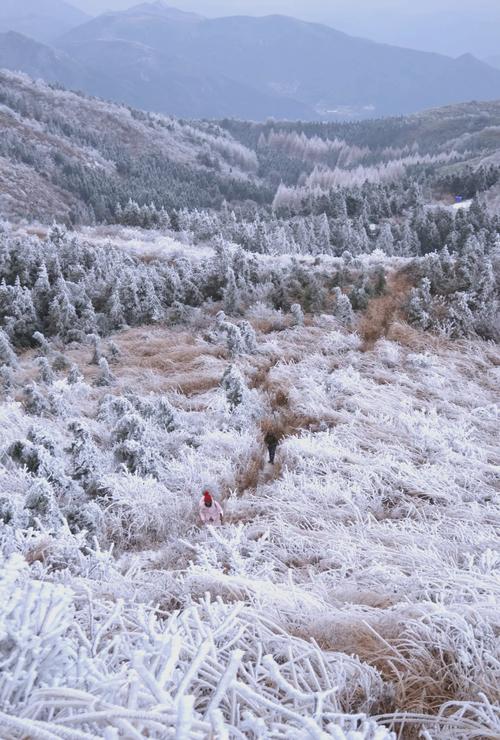白山天气预报/白山天气预报未来七天