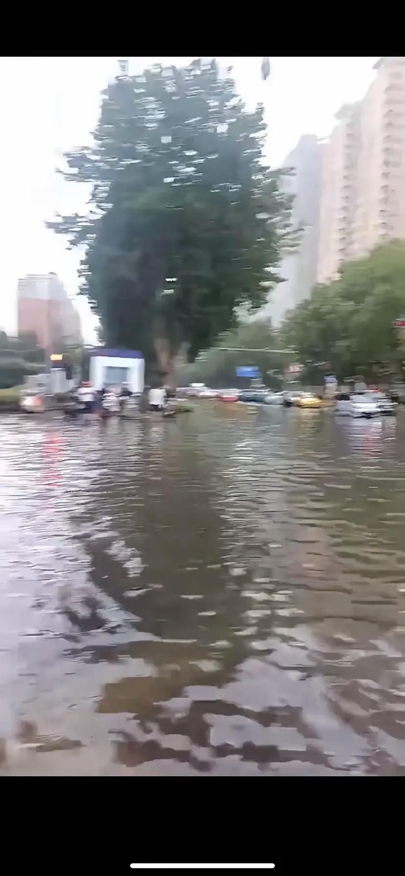 山东济宁一周天气预报-济宁1周天气预报-第6张图片 山东济宁一周天气预报-济宁1周天气预报-第6张图片