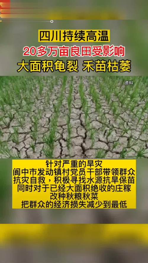 阆中天气,阆中天气预报-第4张图片 阆中天气,阆中天气预报-第4张图片