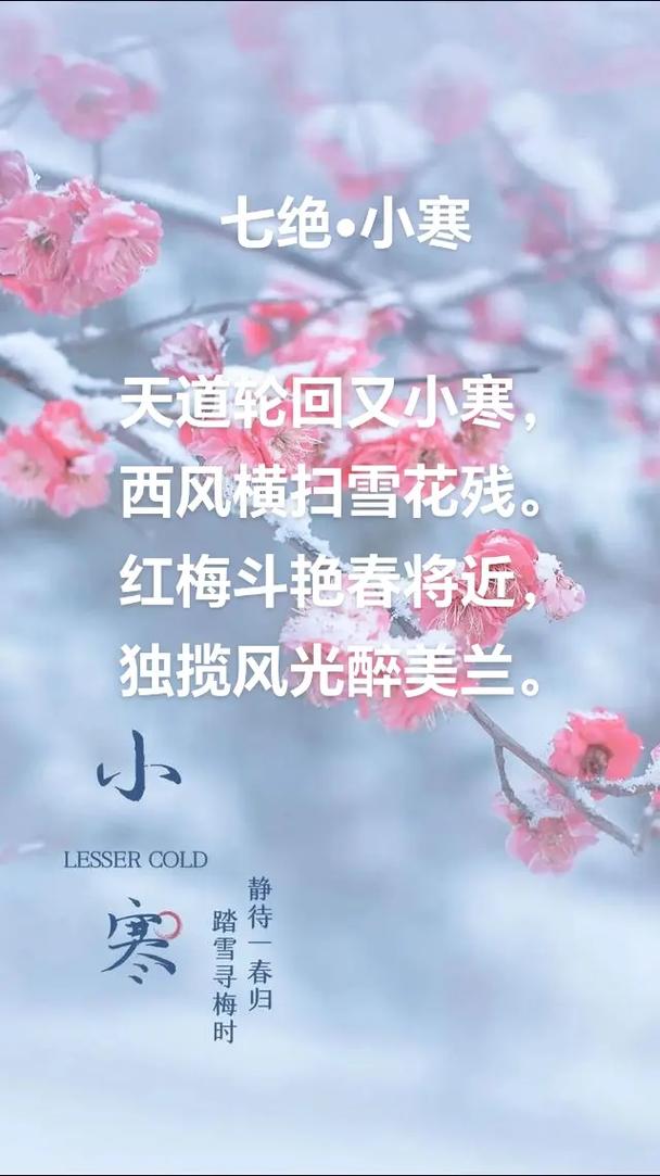 【平湖天气/深圳平湖天气】
