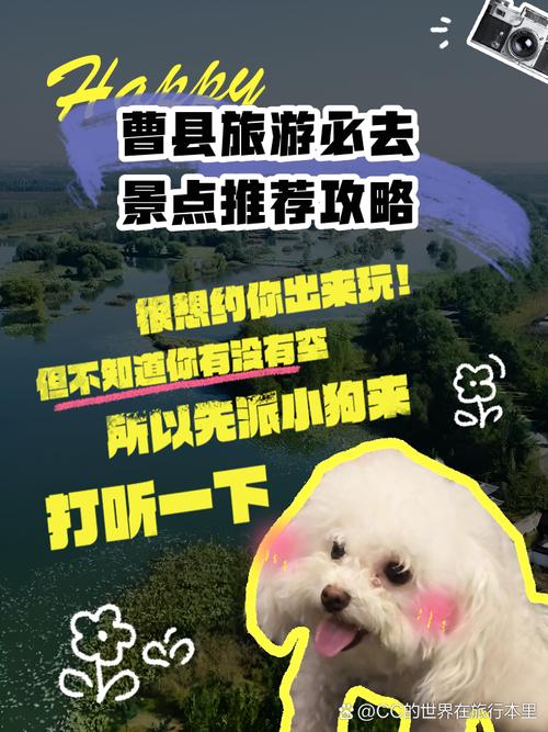 曹县天气，曹县天气预报40天查询结果