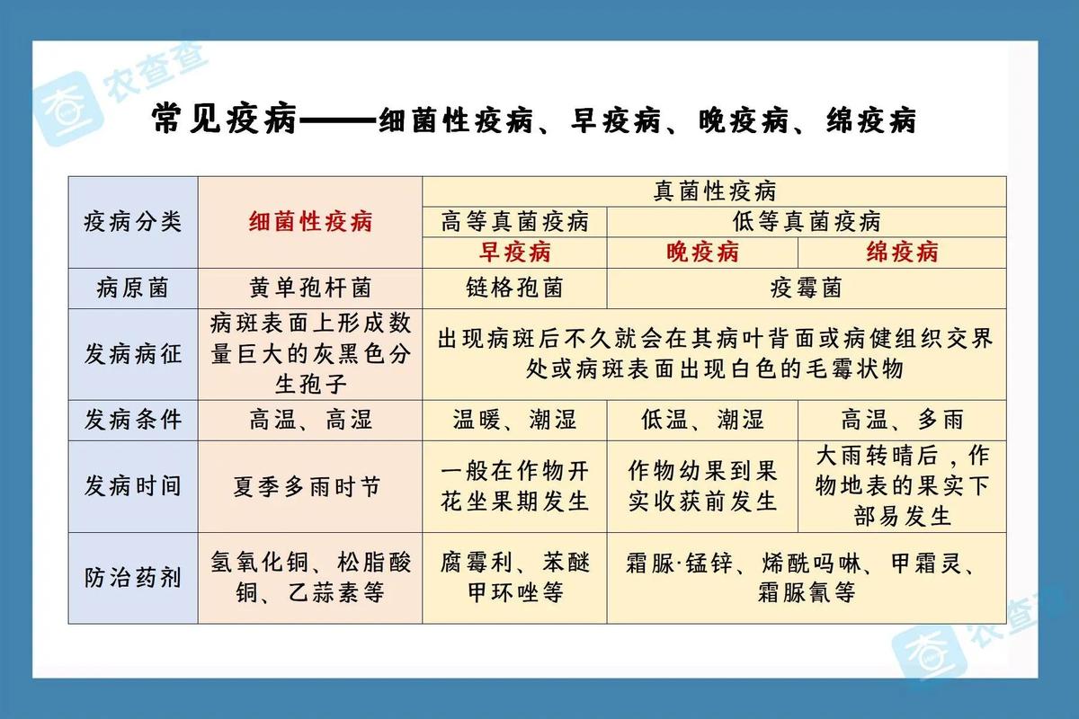 疫情是什么-疫情是什么时候结束的-第3张图片 疫情是什么-疫情是什么时候结束的-第3张图片