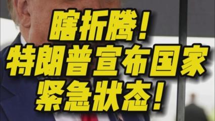 特朗普宣布国家紧急状态应对疫情/特朗普政府应对疫情-第5张图片 特朗普宣布国家紧急状态应对疫情/特朗普政府应对疫情-第5张图片