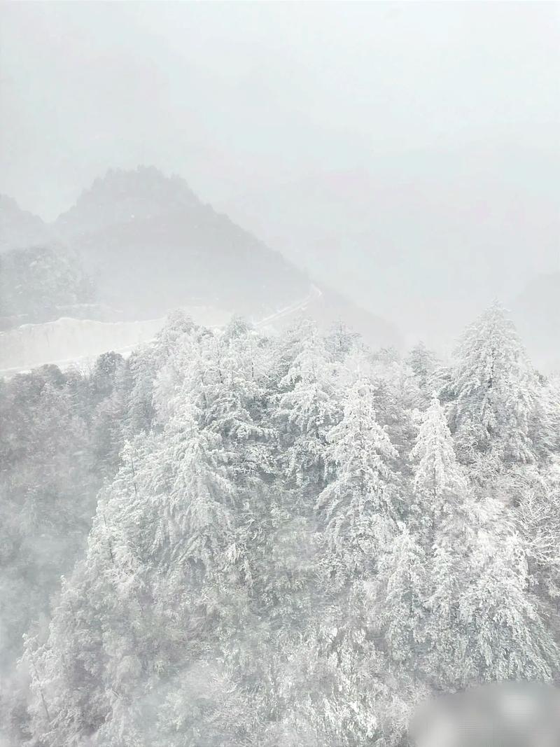 台山天气预报/台山天气预报30天-第9张图片 台山天气预报/台山天气预报30天-第9张图片