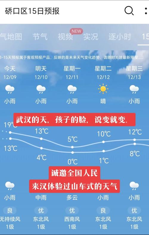武汉未来15天天气预报,武汉天气30天精准-第7张图片 武汉未来15天天气预报,武汉天气30天精准-第7张图片