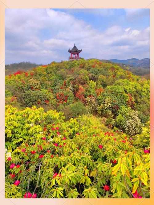 【毕节市天气预报/毕节市天气预报2017】-第9张图片 【毕节市天气预报/毕节市天气预报2017】-第9张图片