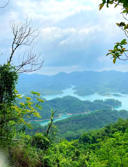 中山天气预报/中山天气预报40天