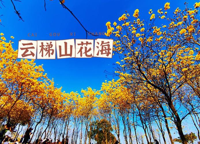 中山天气预报/中山天气预报40天-第3张图片 中山天气预报/中山天气预报40天-第3张图片