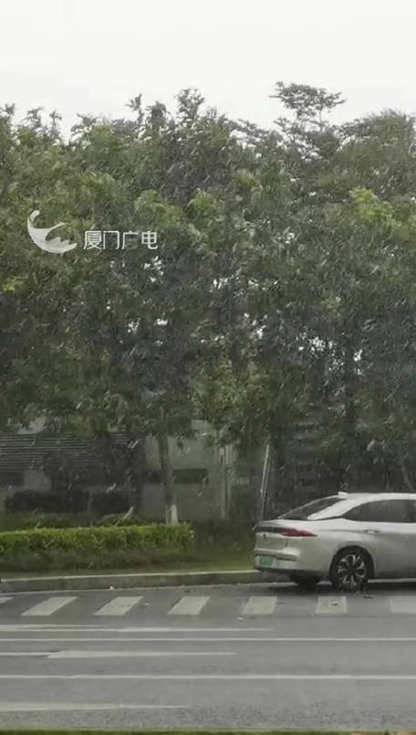 关于“厦门天气预报查询”你不知道的事-第2张图片 关于“厦门天气预报查询”你不知道的事-第2张图片