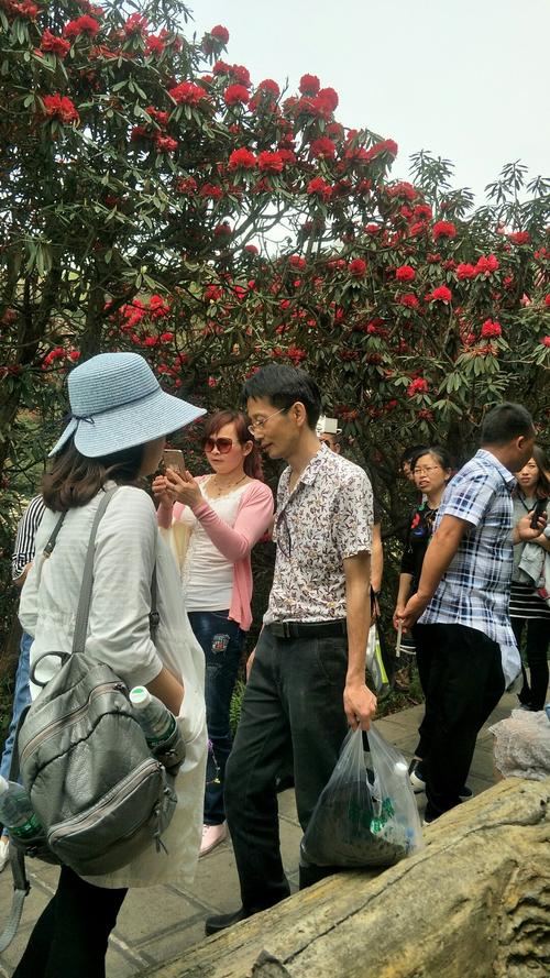 绥化市天气预报,绥化市天气预报15天准确度-第7张图片 绥化市天气预报,绥化市天气预报15天准确度-第7张图片