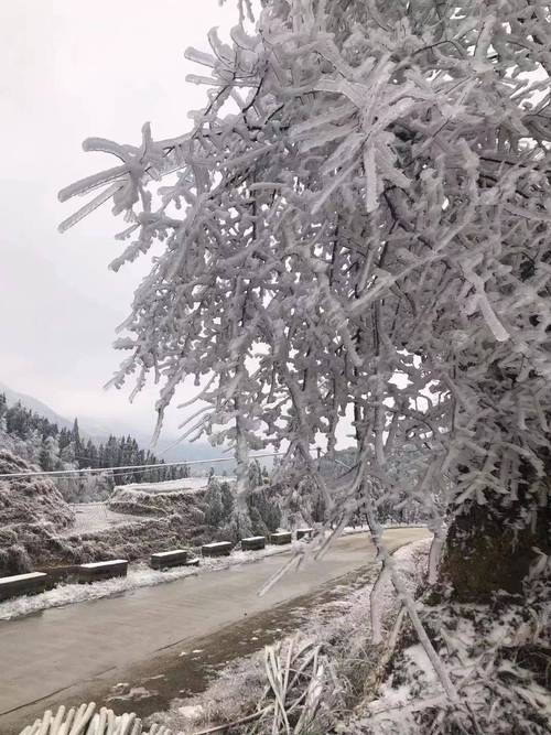 崇左天气预报-崇左天气预报24小时