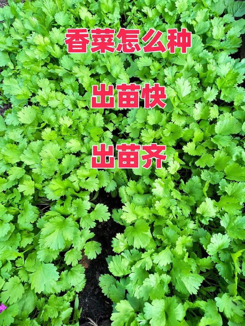 龙口市天气预报,龙口市天气预报今明后三天-第4张图片 龙口市天气预报,龙口市天气预报今明后三天-第4张图片