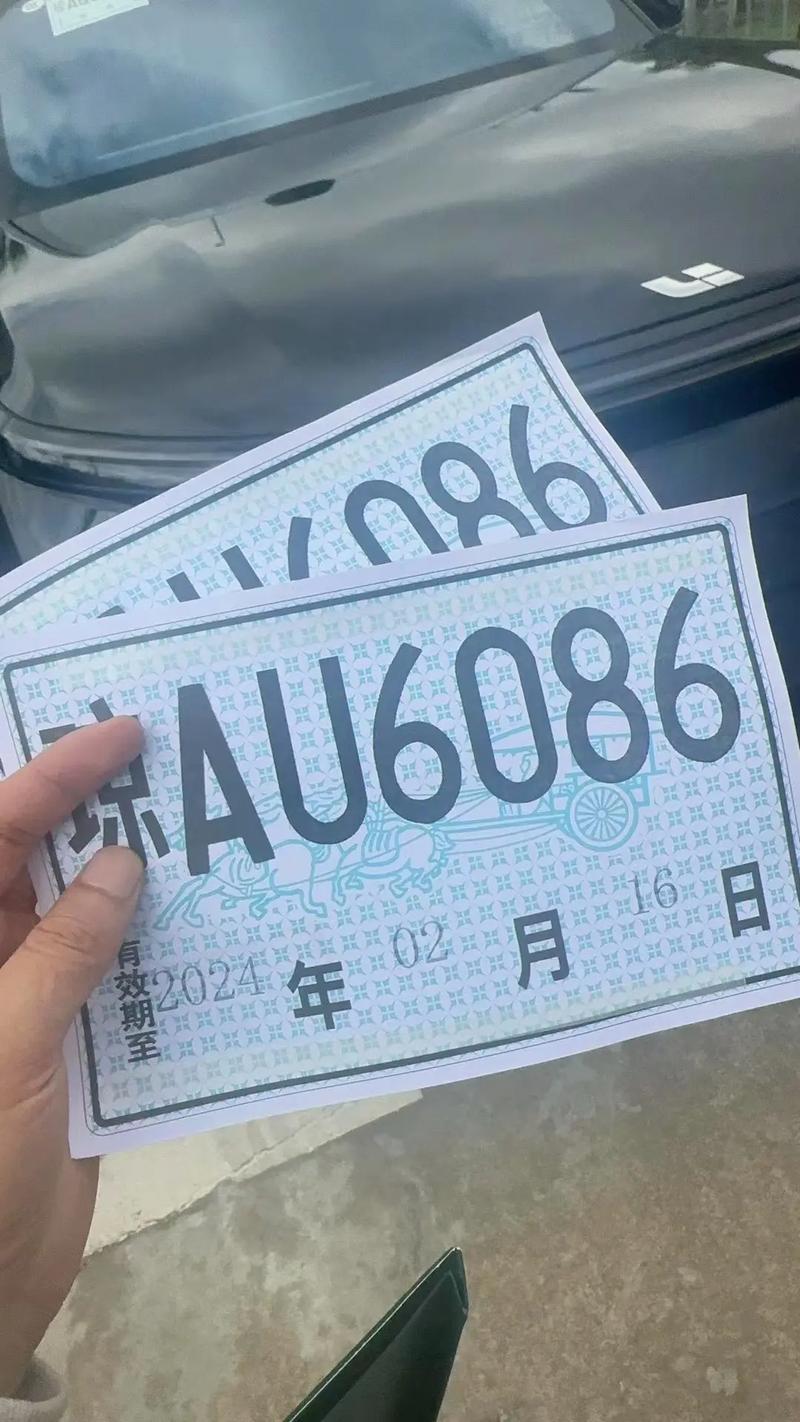 关于“临牌限号吗”你不知道的事-第7张图片 关于“临牌限号吗”你不知道的事-第7张图片