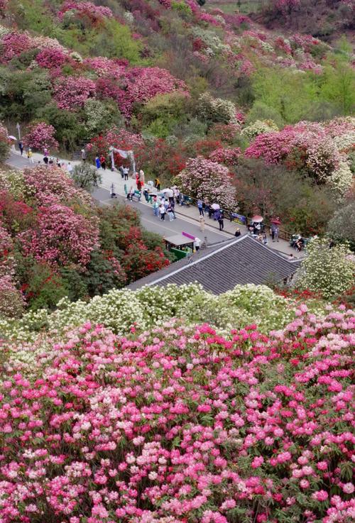 【洪江市天气/洪江市天气预报2345】-第6张图片 【洪江市天气/洪江市天气预报2345】-第6张图片