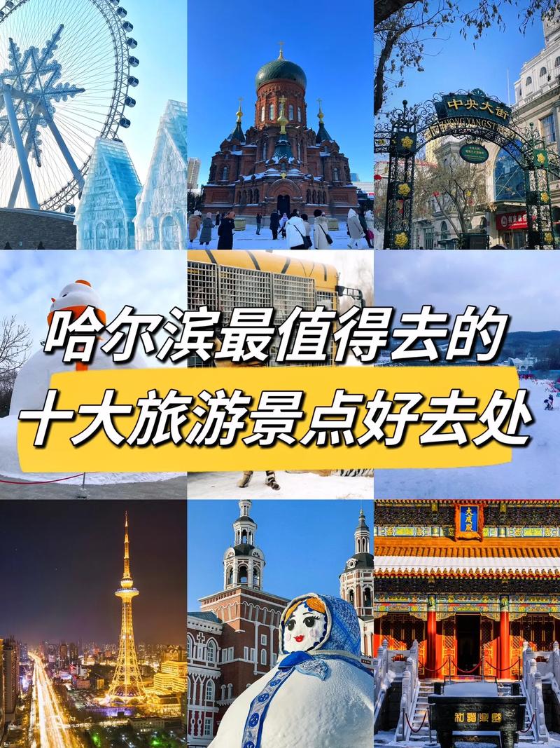 关于“黑龙江哈尔滨一周天气预报”你不知道的事-第5张图片 关于“黑龙江哈尔滨一周天气预报”你不知道的事-第5张图片