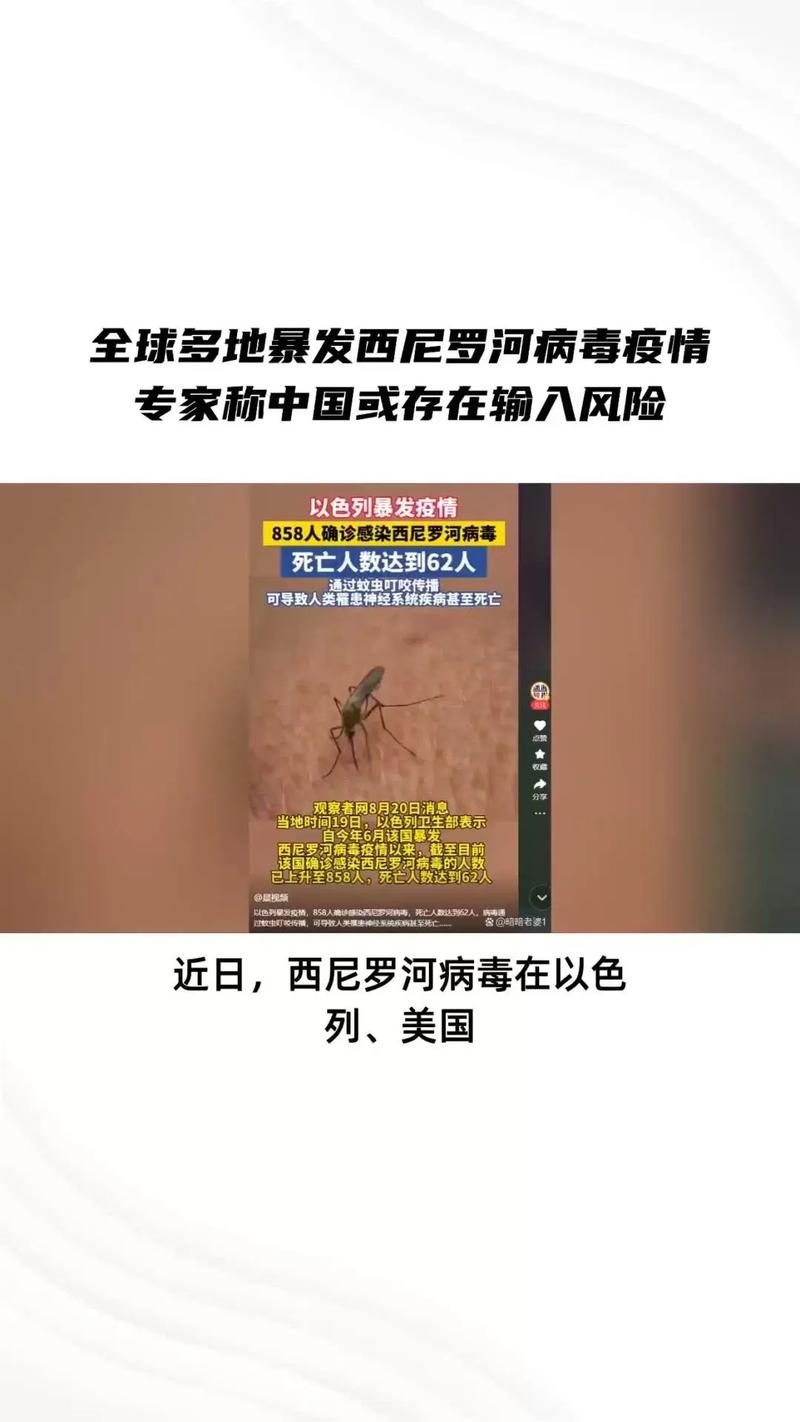 【疫情导致社会/疫情影响社会】-第8张图片 【疫情导致社会/疫情影响社会】-第8张图片