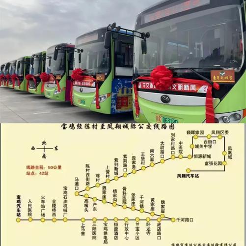 关于“凤翔柳林疫情”你不知道的事-第3张图片 关于“凤翔柳林疫情”你不知道的事-第3张图片