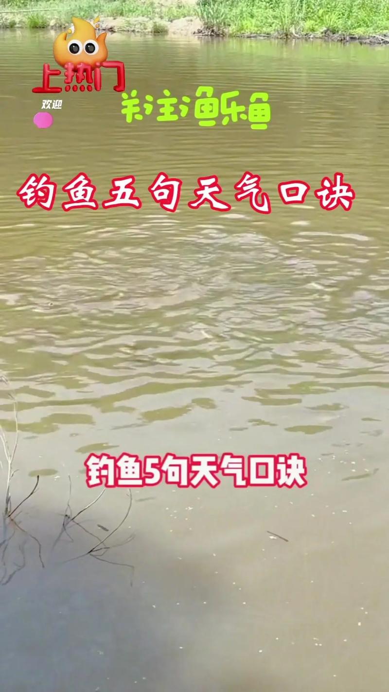 东北风可以出行钓鱼吗,东北风适合钓鱼吗钓鲤鱼吗?-第8张图片 东北风可以出行钓鱼吗,东北风适合钓鱼吗钓鲤鱼吗?-第8张图片