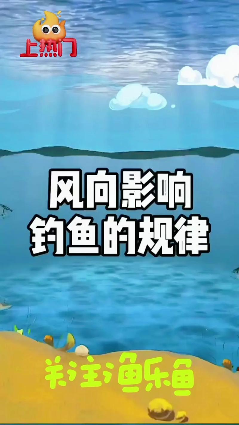 东北风可以出行钓鱼吗,东北风适合钓鱼吗钓鲤鱼吗?-第9张图片 东北风可以出行钓鱼吗,东北风适合钓鱼吗钓鲤鱼吗?-第9张图片