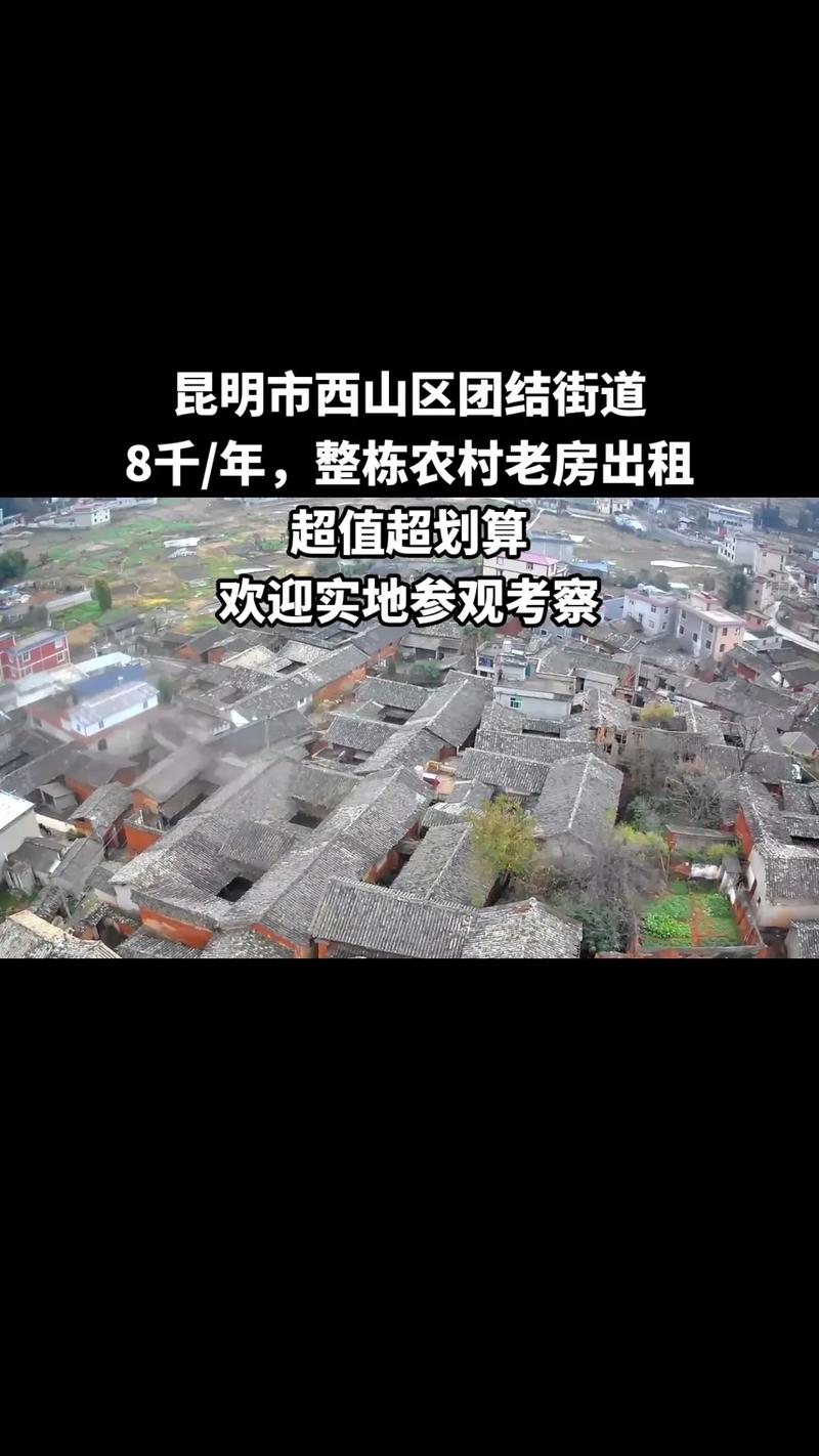 【昆明西山疫情如何/昆明西山疫情如何防控】-第4张图片 【昆明西山疫情如何/昆明西山疫情如何防控】-第4张图片